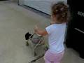 Puppy enjoying stroller ride