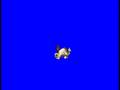 naked rabbit!!!!