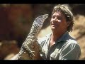 Rip steve irwin