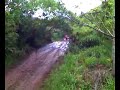honduas en barranquitas honduas en barranquitas