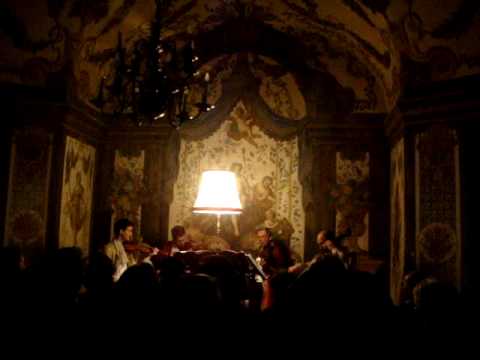 Viena - Concerto de musica classica (1)