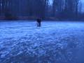 Eros on ice