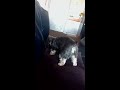 Click here to watch this video Saving for later...