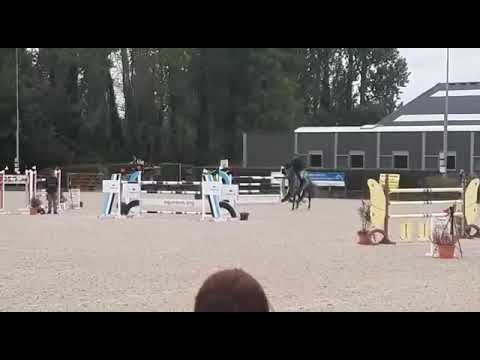 VOLO’S DIAMOND GP 145 HASSELT AUGUST 2019