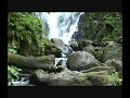 Torc waterfall near Killarney