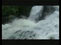 Torc waterfall near Killarney