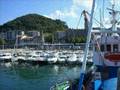 Video de Lekeitio