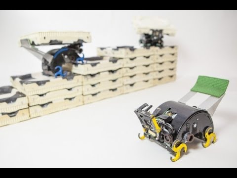 Imagen de previsualización de YouTube