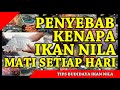 Ikan Hias Rentan Mengalami Kematian Saat Usia Pembenihan Pdf