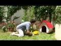 Saludo Animal - Promo Arnet Saludo Animal - Promo Arnet