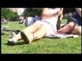 y2o0u0t7h #Trentemøller - Take me into your skin#