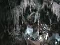 videos de monkeysatrainforest.wmv