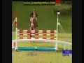 Cool horse video Cool horse video