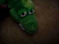 Webkinz Vs Shining Stars REQUSTED