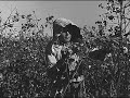 dorothea lange and sam beam