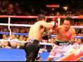 Ultimate Juan Manuel Marquez Highlights Updated