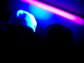Black Light