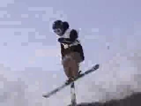 2008なまら一発杯(公開練習)テスト版