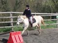 amandine gumpy