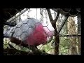 Travel-8 Minute E-Scape - Episode 4- Australia East Coast