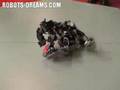 RoboGames 2007: ROBO-ONE Wrestling - Final for the Gold