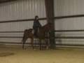 videos de 1/8/09 riding lesson