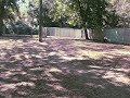 Ranger playing fetch!