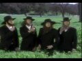 weird al- Almish paradise weird al- Almish paradise