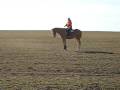 videos de Quinarius Dittolike