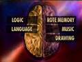 Sindrome de Savant, Discovery Channel 2/4