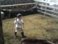 videos de NIÑO VAQUERO.
