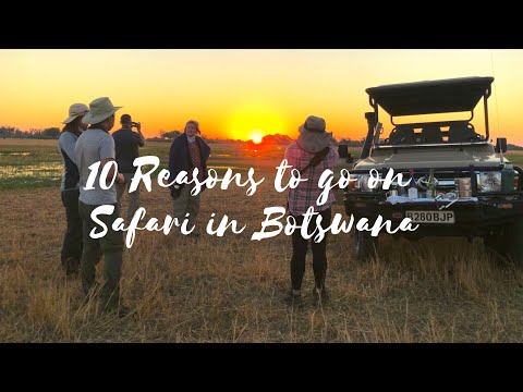 10 Reasons to Go on Safari in Botswana