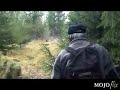 man's best friend barking at moose