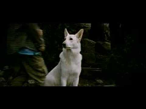 Visa filmklippet Visa filmklippet