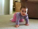 the crawler