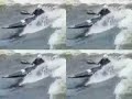 Trent Lock Freestyle Kayaking