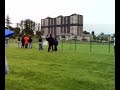 Dundee Multi Demolition