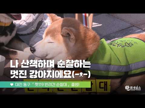 출격하라, 반려견 순찰대! | 펫119 반려견 순찰대 발대식 | 행사 스케치 | 대전 동구