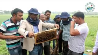 Bioscope apiculture মৌমাছি...