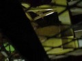 ON A SPINNING RIDE.wmv