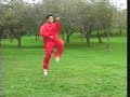 Xing Yi Quan Dragon - Li Tai Liang Xing Yi Quan Dragon - Li Tai Liang