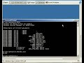 VESELA Windoze Virus...