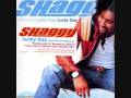 shaggy Ft sean paul-hey sexy lady