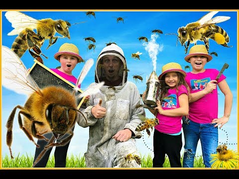 Busy Bees! Learn About Bees