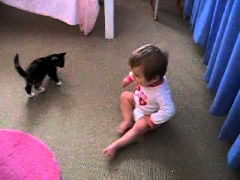 0 Video de un bebe y un gatito jugando