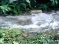 rishikesh water fall 1