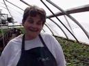 QuiltGardensTour.com - Country Comfort Greenhouse