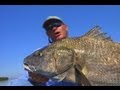 The Drum Zone - CANOE fishing for black drum