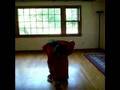 Classical Indian Dance ~ Westford MA