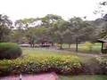 休閒好去處- 南園(1)
